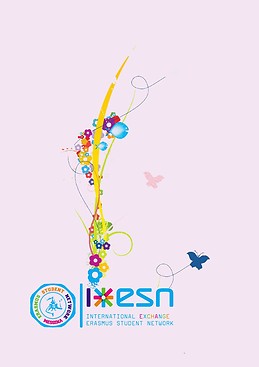 Erasmus Student Network E.s.n. Messina Erasmus MESSINA