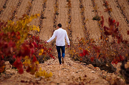 Miguel Ángel Lozano Lozano