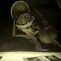 Salvina Laura Tammaccaro