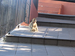 Isabel Bernal Pescador