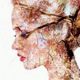 dhaoui olffa Dhaoui olfa