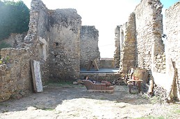 Violeta Alves de Magalhães