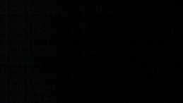 Patricia Zuñiga Salas