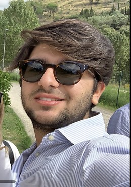 Ludovico Falzone