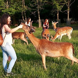 María Jesús Postigo Ordoñez
