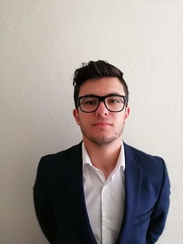 Stavro Mentis