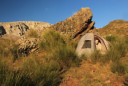 Mariana Van den Bergh