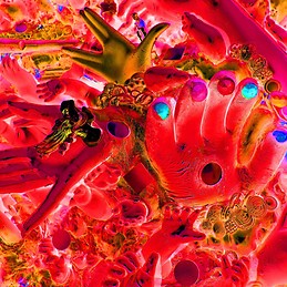 Sebastian Avella Escandón