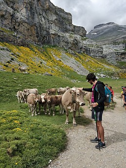 Pablo Murillo Ciordia