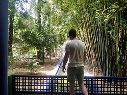 Adán Lestegás Soto