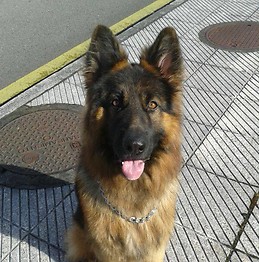 Cristina Díaz Ubieta