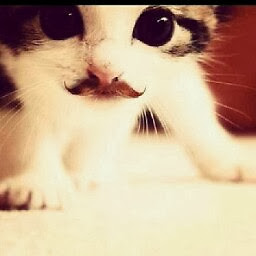 DIANA JUDITH MONTESINO DE ALMADA