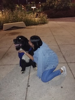 MARIA CAMILA DIAZ ORTEGA