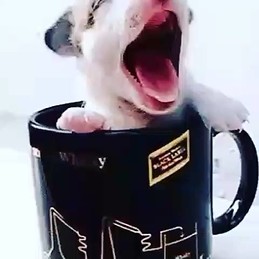 Máriö À Perfeiçãö