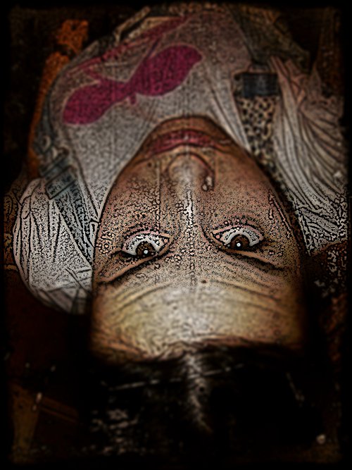 virginia cañas gonzalez