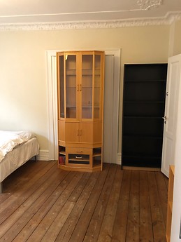 Large and sunny room in the center of Copenhagen