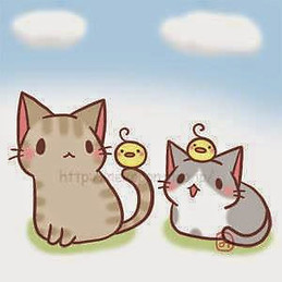 Bảo Ngọc Nguyễn