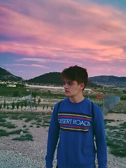 Vicente Vidal Amorós