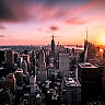 dani catalano