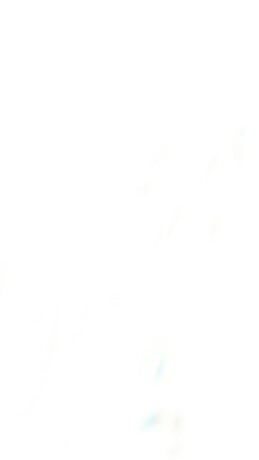 Bárbara Angélica Martín del Campo Treviño