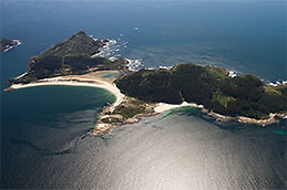 Paulo André