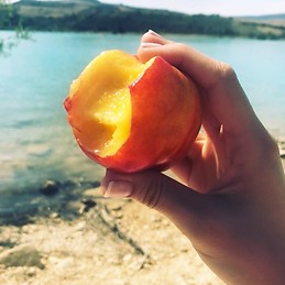 Raquel Fernandez Valle