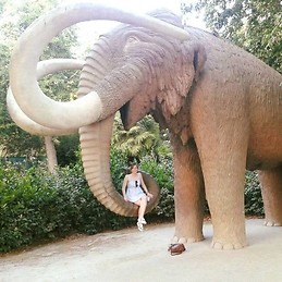 Laura Cumplido Sánchez