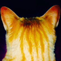 Paula Godínez Sanchiz