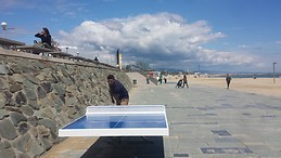 AHMED SEIFEDDINE MEGUENNI