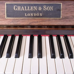 Isabel María Cantos Sánchez