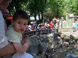 juani fernandez iglesias