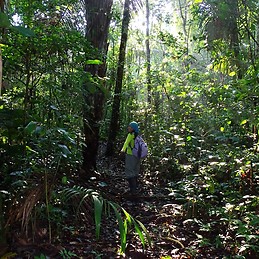 Nahomi Zuasnábar Bellido