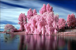 Ольга Радионенко