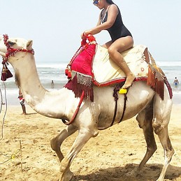 Azalea Ripoll Restituyo