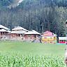 Bilal Yasin