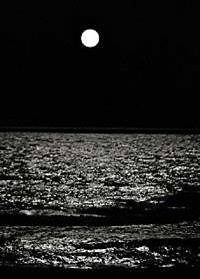 Annavittoria Carluccio