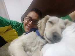 Camilo andres Alcalá vasquez