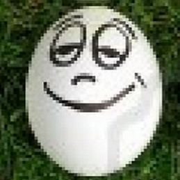 Javier Santana Núñez