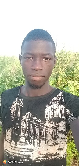 Cheikh Diaw
