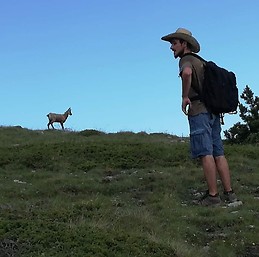 Giorgos Kokkinoplitis