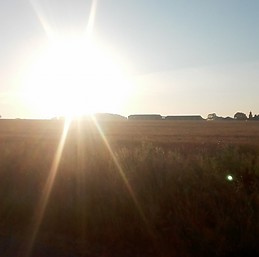 Camilo Combariza Velandia