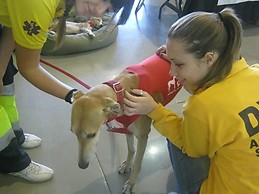 Alba Montalt Astorga