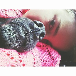 Júlia Méndez Loste