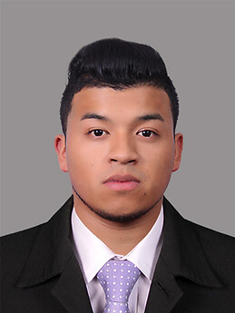 Julian camilo Ruiz Vilca