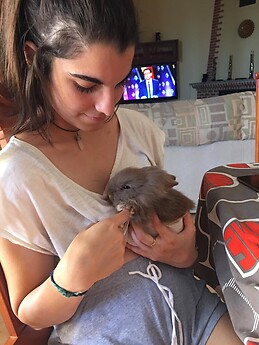 Fabián Benito Arroyo