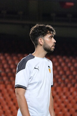 Ferran de Andrés Vert