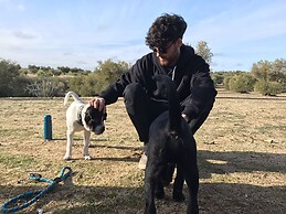 Carlos Pérez López