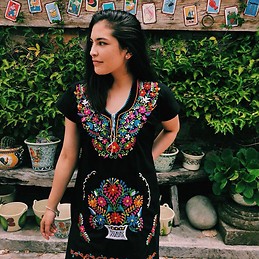 Ana Paula Celis Ávila