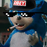 sonic falopero