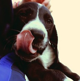 Rafa cuvillo monedero